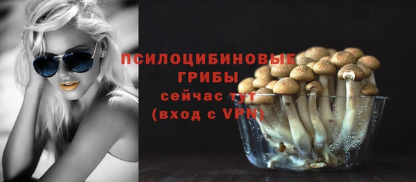 ECSTASY Алзамай
