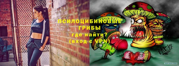 ECSTASY Алзамай