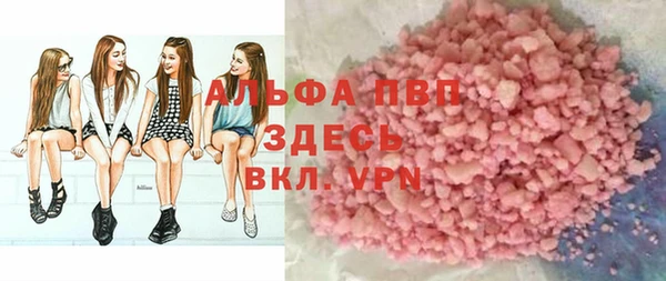 ECSTASY Алзамай
