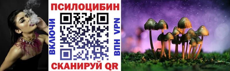 Псилоцибиновые грибы Psilocybine cubensis  как найти   Чайковский 